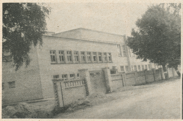 Heydekrug (Šilutė), Schweinemarkt mit neu erbauter Möbelfabrik