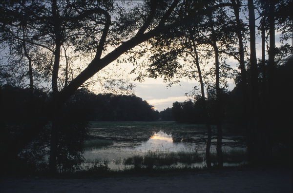 Friedrichstein (Каменка), Teich an der Auffahrtseite zum einstigen Schloss