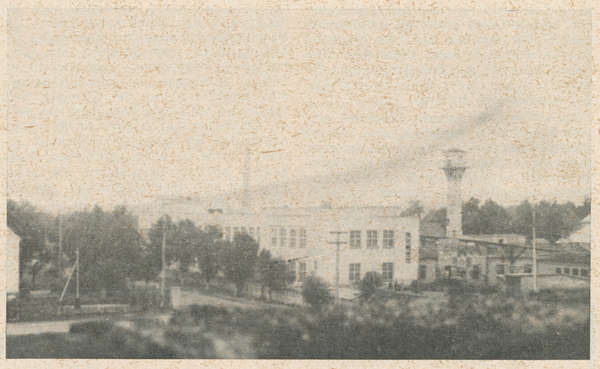 Heydekrug (Šilutė), Industriestadt