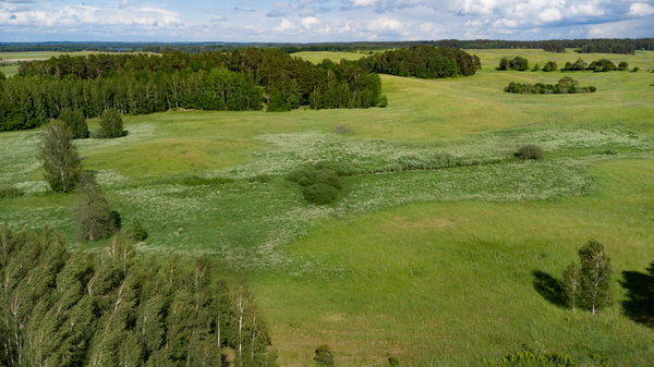 Grüneberg Kr. Johannisburg (Matyszczyki), Landschaft bei Grüneberg