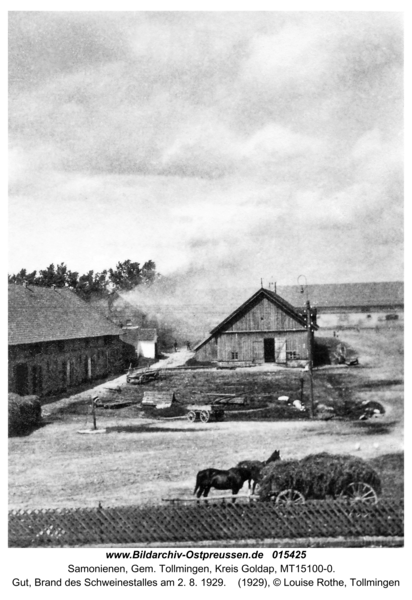 Reiterhof, Gut, Brand des Schweinestalles am 2. 8. 1929