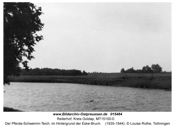 Reiterhof, Der Pferde-Schwemm-Teich, im Hintergrund der Eske-Bruch