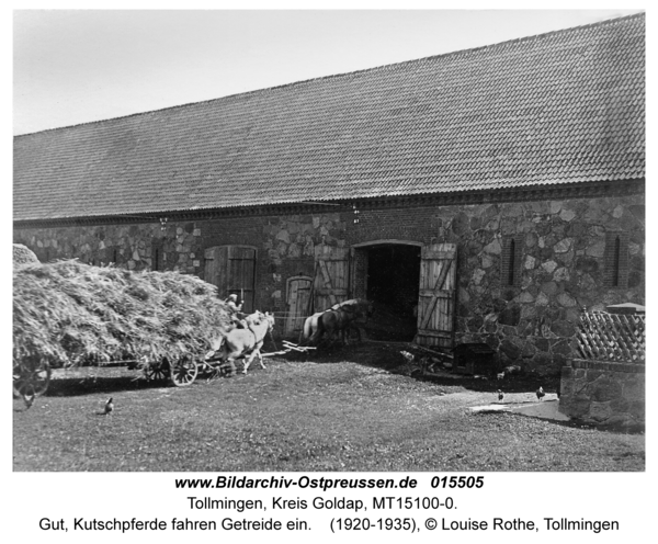 Tollmingen, Gut, Kutschpferde fahren Getreide ein