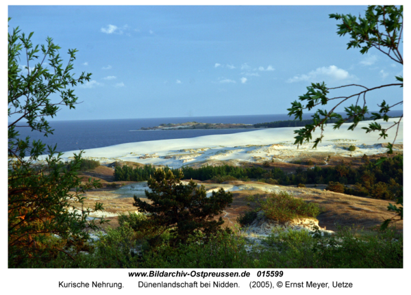 Kurische Nehrung, Dünenlandschaft bei Nidden