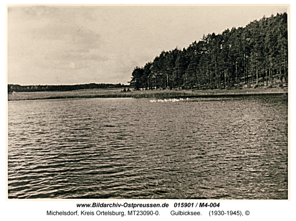 Michelsdorf, Gulbicksee