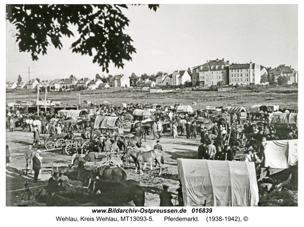 Wehlau, Pferdemarkt