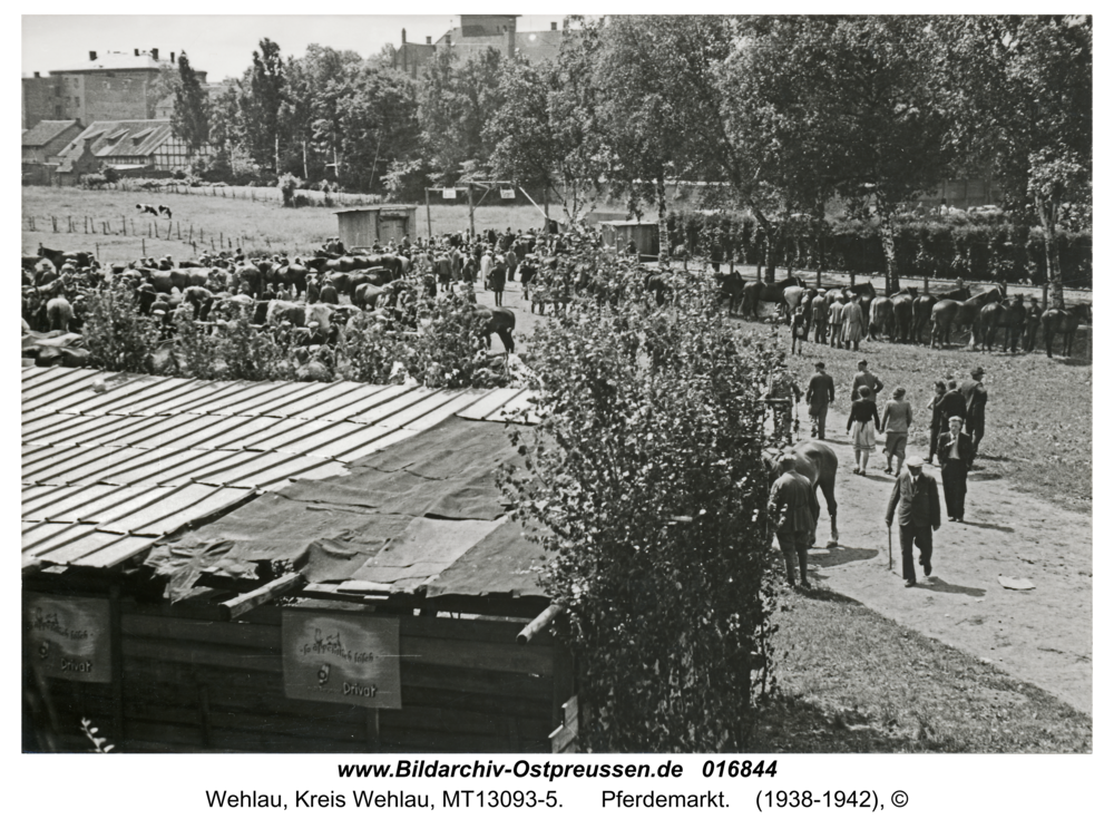 Wehlau, Pferdemarkt