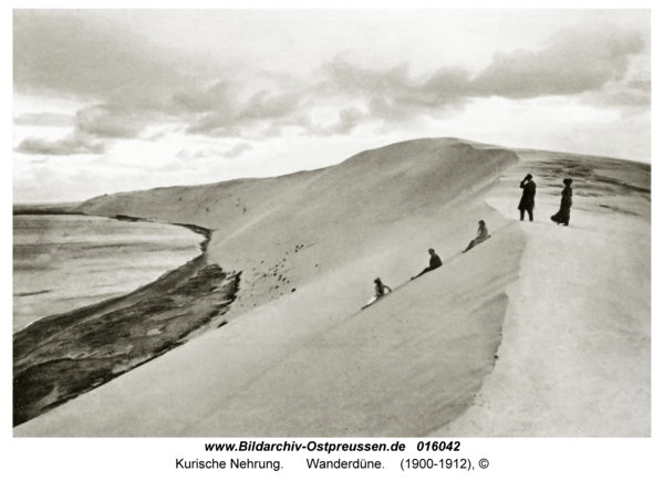 Kurische Nehrung, Wanderdüne