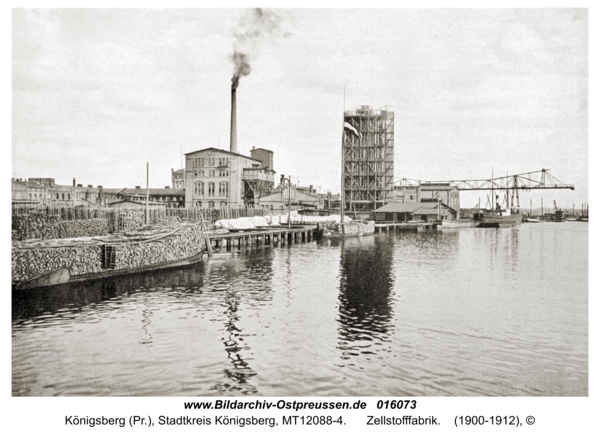 Königsberg, Zellstofffabrik