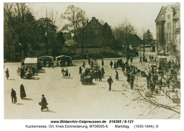 Kuckerneese, Markttag