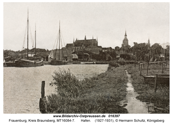 Frauenburg, Hafen