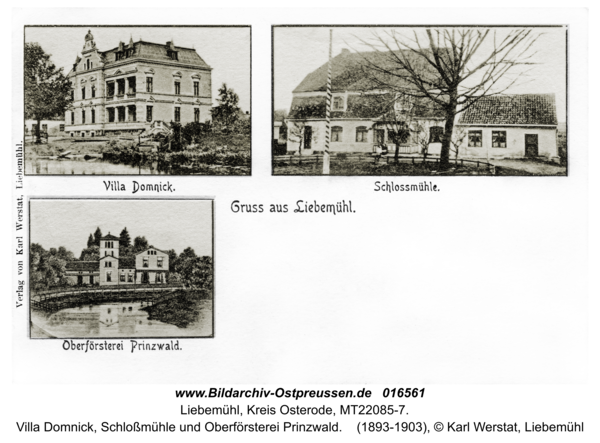 Liebemühl, Villa Domnick, Schloßmühle und Oberförsterei Prinzwald