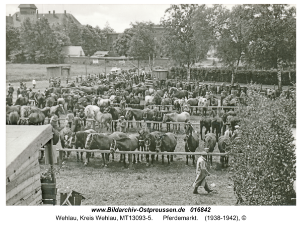 Wehlau, Pferdemarkt