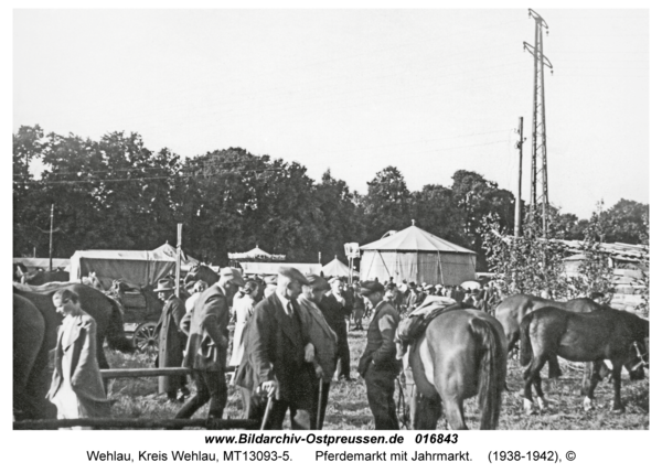 Wehlau, Pferdemarkt mit Jahrmarkt