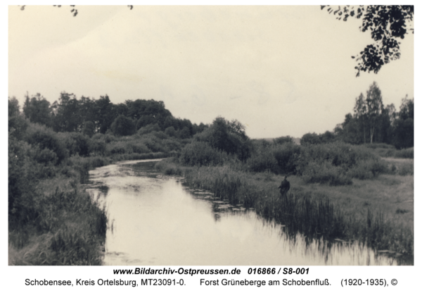 Schobensee, Forst Grüneberge am Schobenfluß