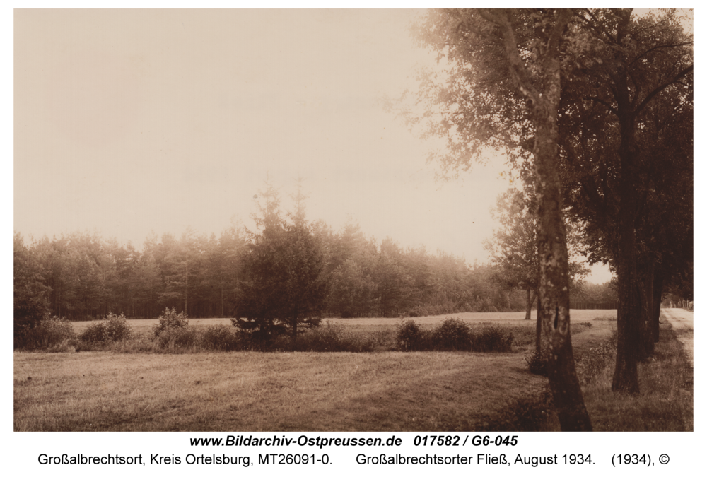 Großalbrechtsort, Großalbrechtsorter Fließ, August 1934