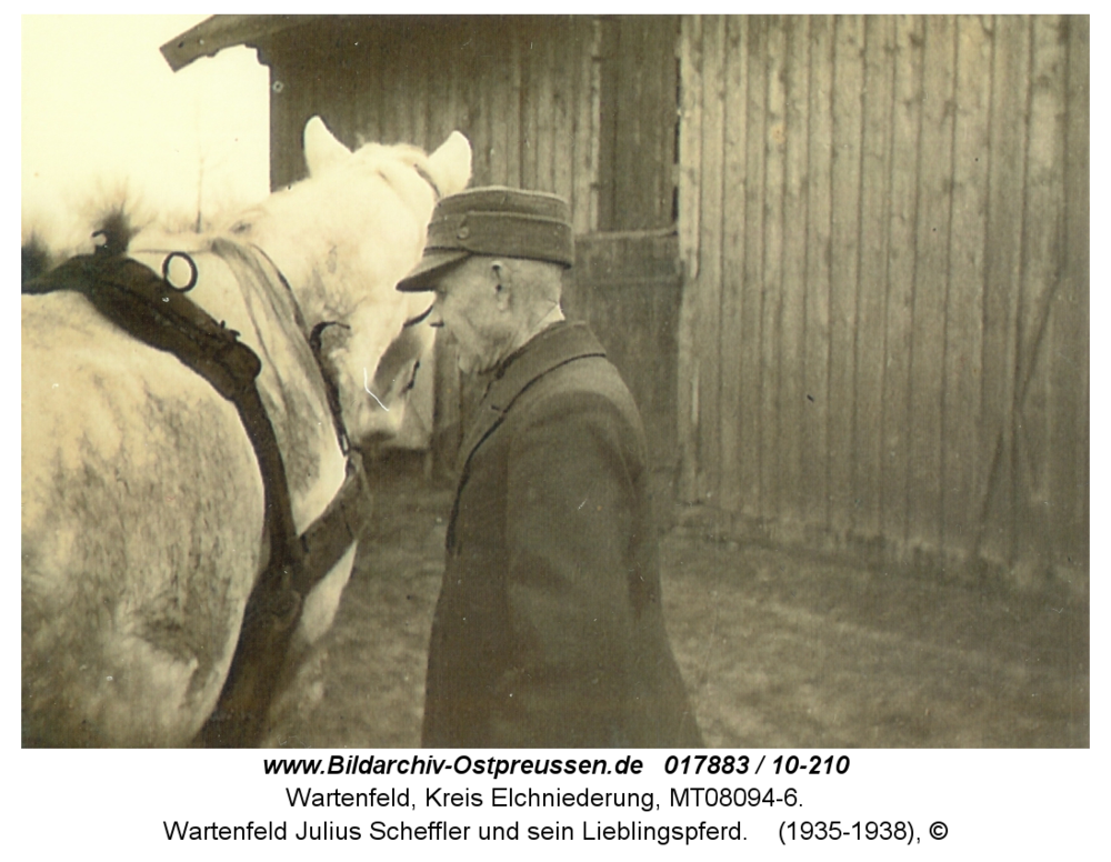 Wartenfeld Julius Scheffler und sein Lieblingspferd