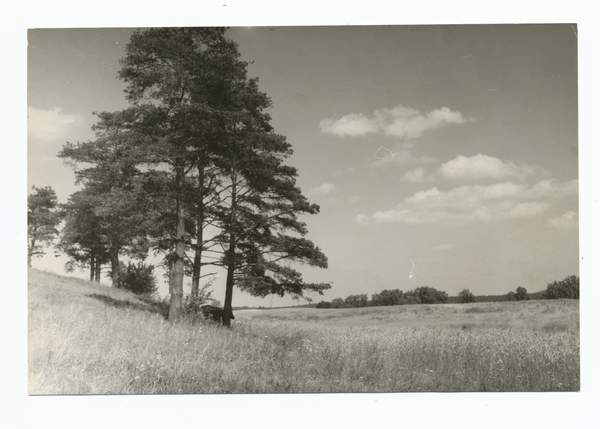 Bartendorf, Landschaft südlich von Bartendorf in der Nähe des ehem. Heldenfriedhofes