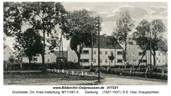 Grünheide Kr. Insterburg, Siedlung