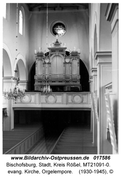 Bischofsburg, evang. Kirche, Orgelempore