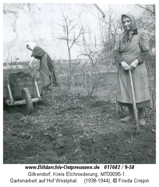 Gilkendorf, Gartenarbeit auf Hof Westphal