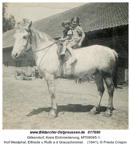 Gilkendorf, Hof Westphal, Elfriede u Ruth a d Grauschimmel