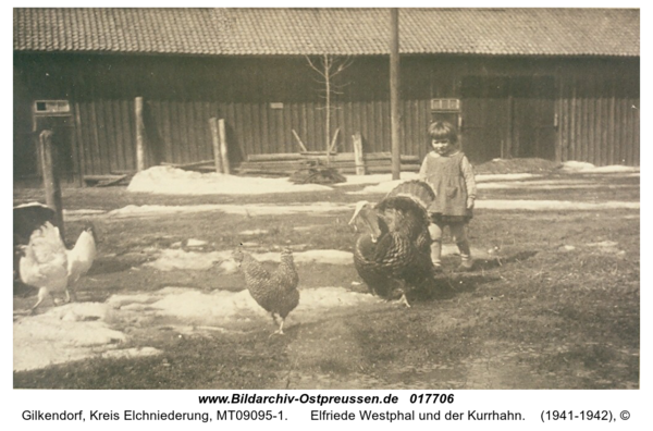 Gilkendorf, Elfriede Westphal und der Kurrhahn