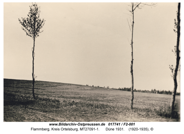 Flammberg, Düne 1931