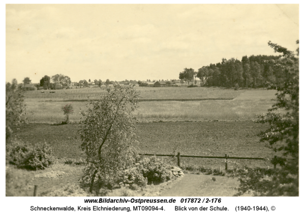 Schneckenwalde, Blick von der Schule