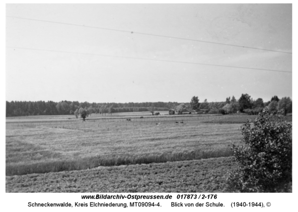 Schneckenwalde, Blick von der Schule