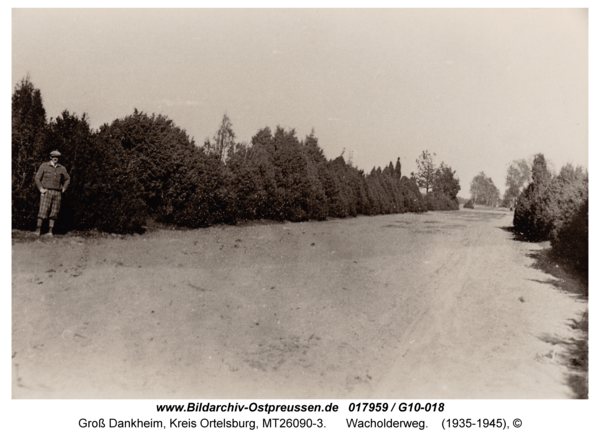 Groß Dankheim, Wacholderweg