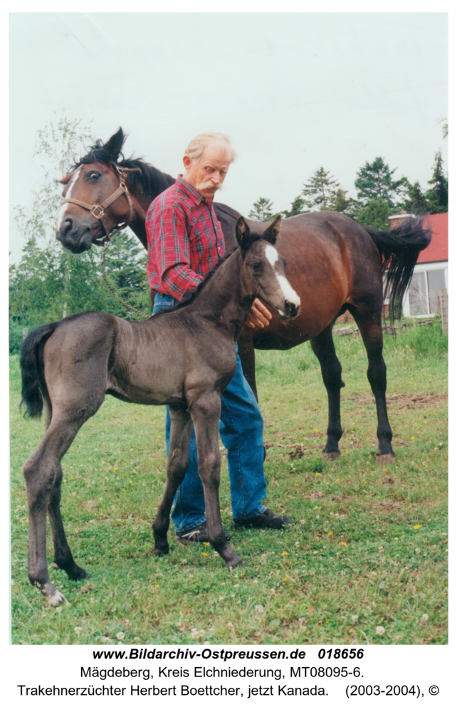 Mägdeberg, Trakehnerzüchter Herbert Boettcher, jetzt Kanada