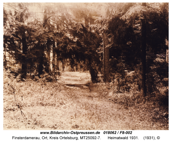 Finsterdamerau, Heimatwald 1931