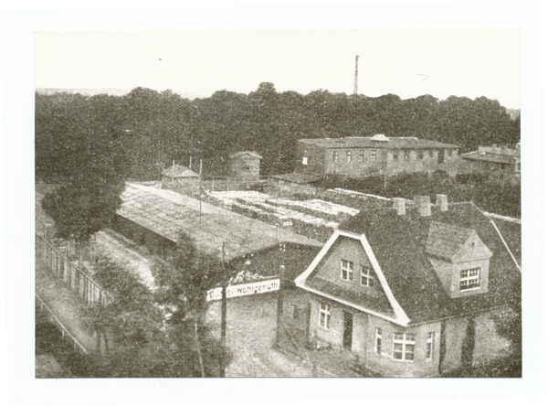 Tilsit, Stolbecker Str., Gustav Wohlgemut, Nutzholz, Baumaterialien und Futtermittel