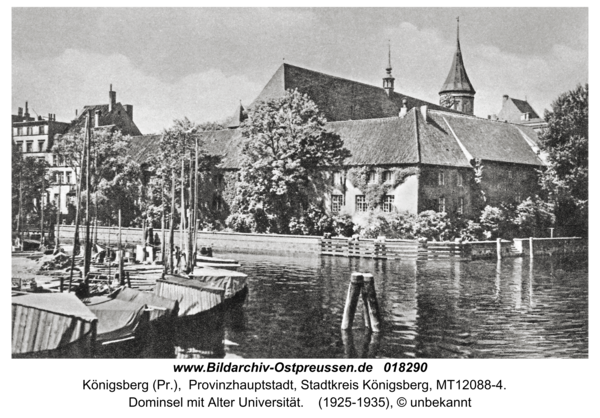 Königsberg, Dominsel mit Alter Universität