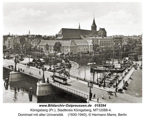 Königsberg, Dominsel mit alter Universität