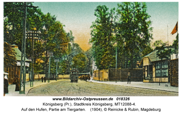 Königsberg, Auf den Hufen, Partie am Tiergarten
