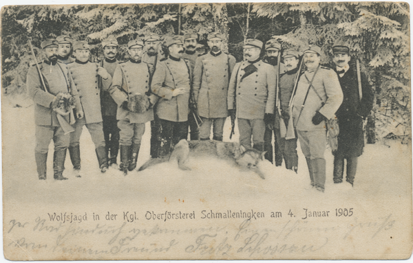 Schmalleningken, Kgl. Oberförsterei, Wolfsjagd am 4. Januar 1905