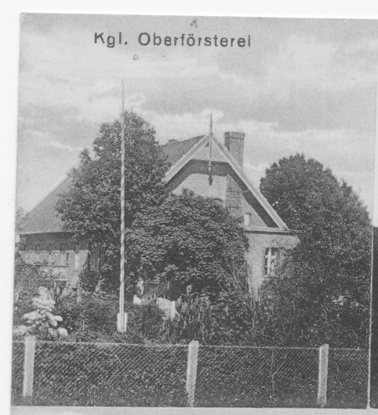 Tawellenbruch fr. Tawellningken, Königl. Oberförsterei