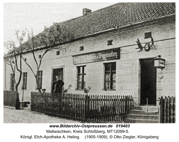 Mallwischken, Königl. Elch-Apotheke A. Heling