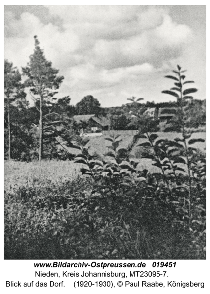 Nieden, Blick auf das Dorf