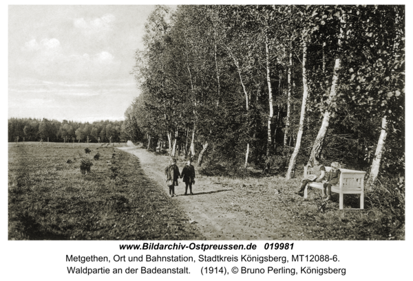 Metgethen, Ort und Bahnstation, Waldpartie an der Badeanstalt