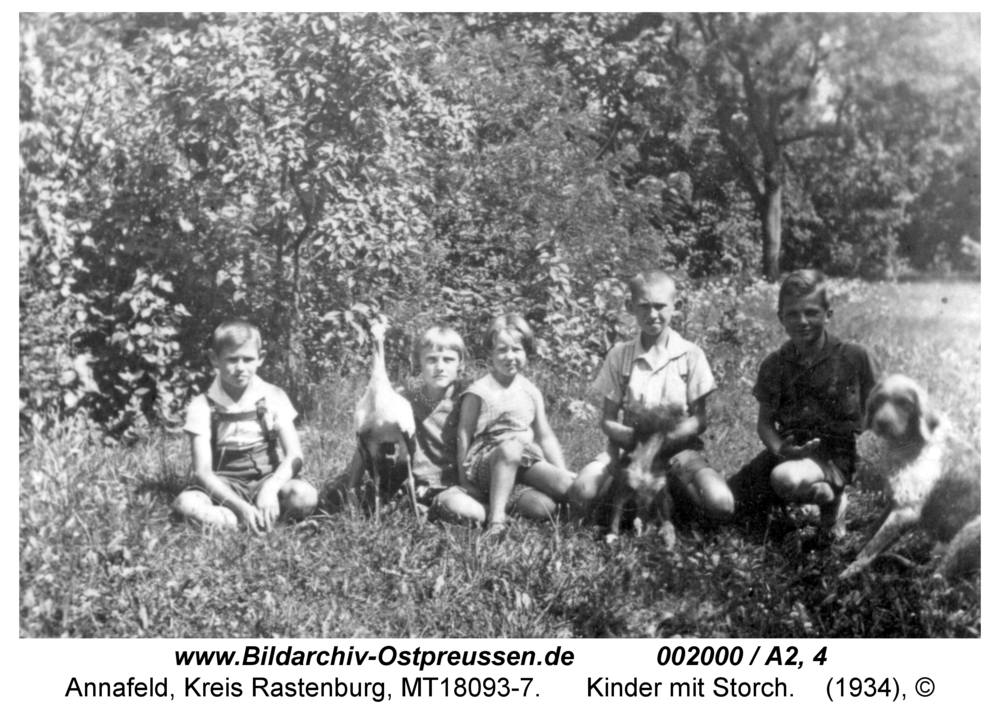 Annafeld, Gut, Kinder mit Storch