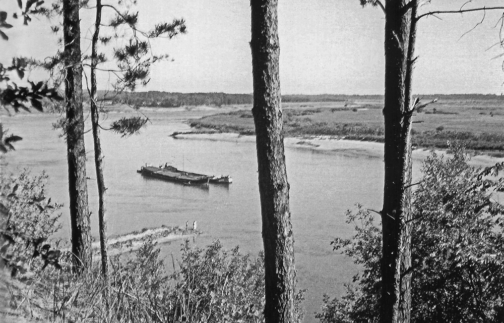 Bei Bittehnen, Blick vom Rombinus auf die Memel