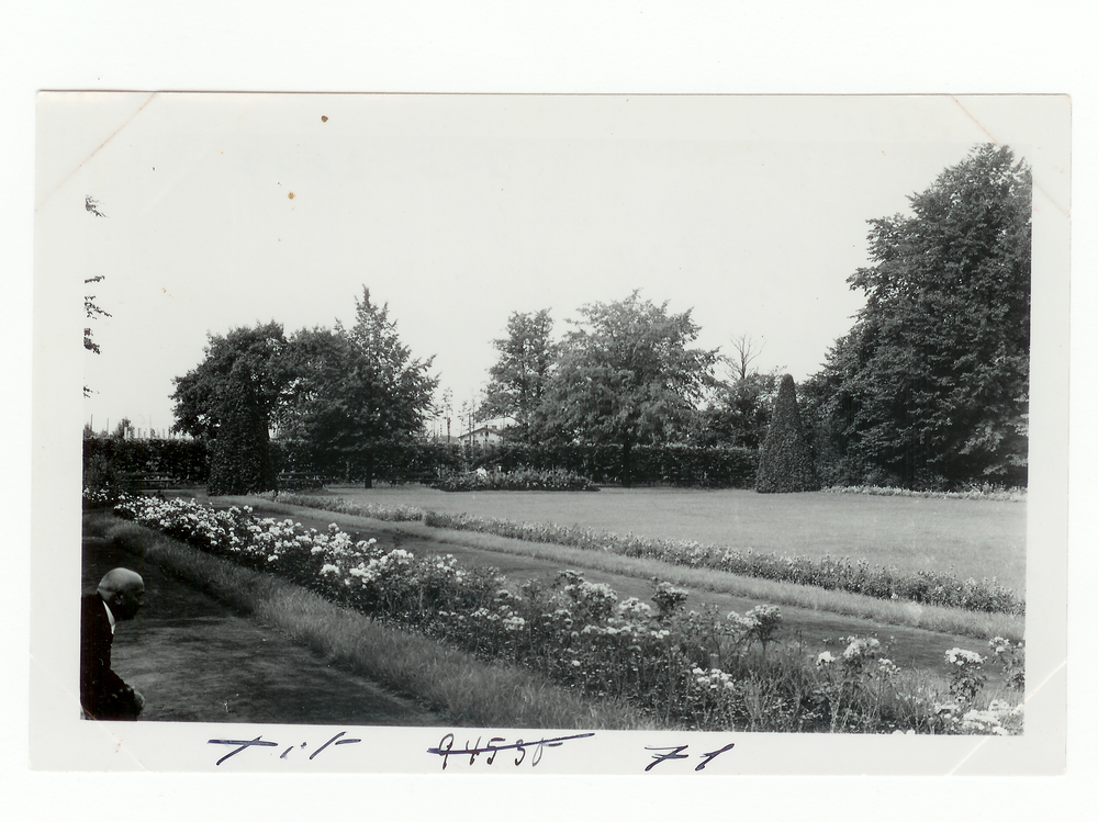 Tilsit, Park Jakobsruh, Rosengarten