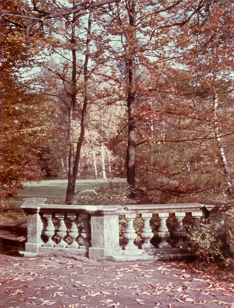 Tilsit, Park Jakobsruh, Schwanenteich