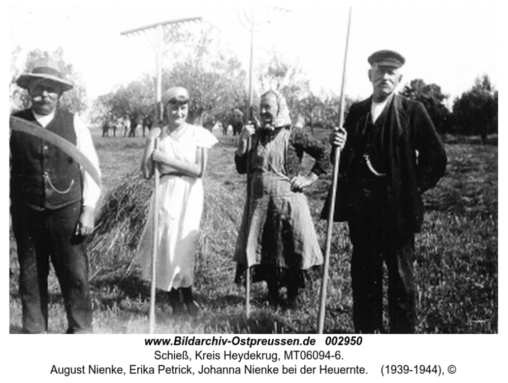 Schieß, August Nienke, Erika Petrick, Johanna Nienke bei der Heuernte