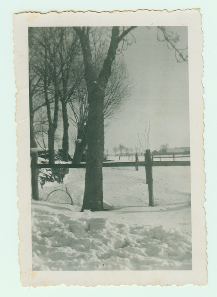 Herdenau, Winter auf Hof Ambras