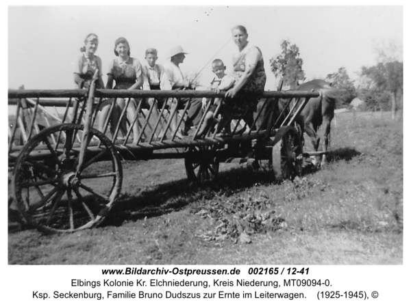 Elbingskolonie, Ksp. Seckenburg, Familie Bruno Dudszus zur Ernte im Leiterwagen