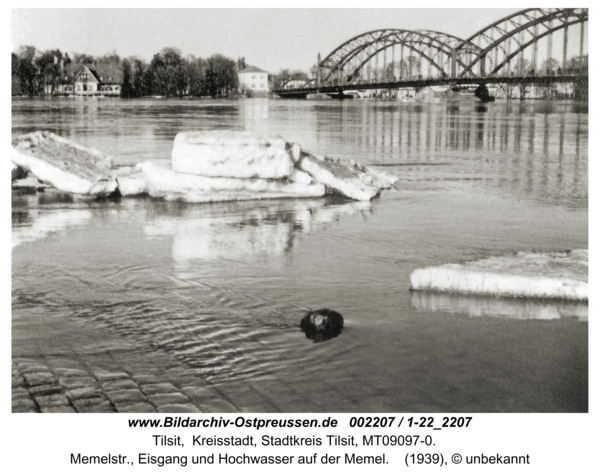 Tilsit, Memelstr., Eisgang und Hochwasser auf der Memel